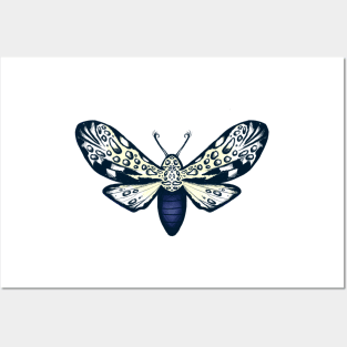 Giant Leopard Moth Sketch Artwork Posters and Art